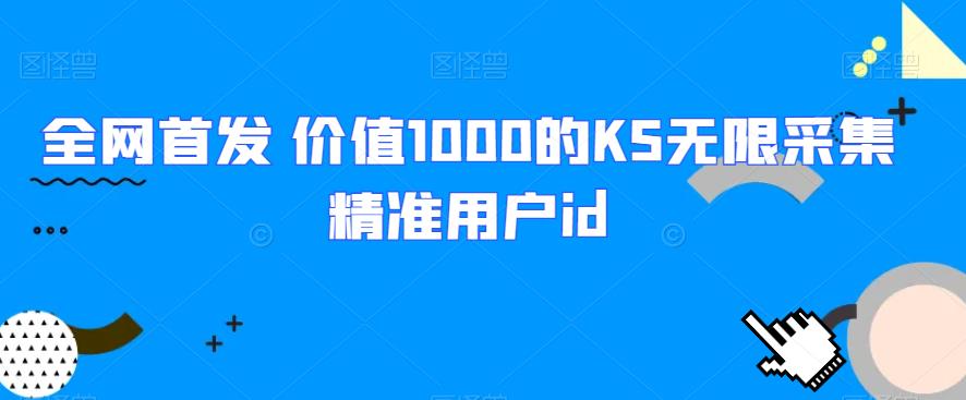 全网首发 价值1000的KS无限采集精准用户id网赚项目-副业赚钱-互联网创业-资源整合歪妹网赚